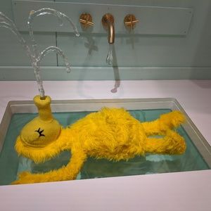 Meet your Posher, Allana